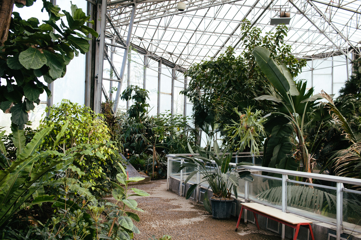 *Le* Jardin *des* Plantes *Lille* de printemps